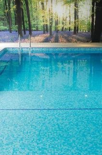 General view
General view
di Best Western Forest Lodge