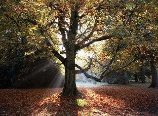 General view
General view
di Best Western Mayfield House Hotel