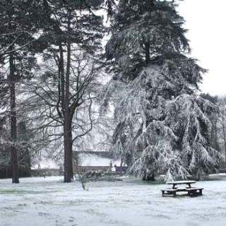 General view
General view
di Best Western Weston Hall Hotel