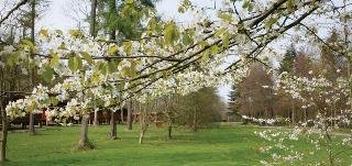 General view
General view
di Best Western Kenwick Park Hotel