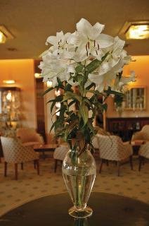 General view
General view
di Best Western Livermead Cliff Hotel