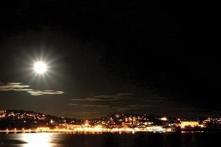 General view
General view
di Best Western Livermead Cliff Hotel