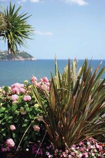 General view
General view
di Best Western Livermead Cliff Hotel