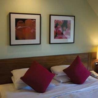 General view
General view
di Best Western The Ship Hotel