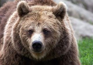 General view
General view
di BEST WESTERN PREMIER Hotell Kung Carl