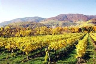 General view
General view
di BEST WESTERN Landhotel Wachau