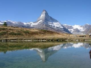 General view
General view
di Best Western Hotel Butterfly