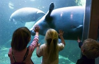 General view
General view
di BEST WESTERN Hotel Knudsens Gaard