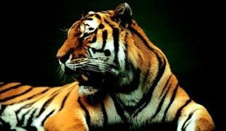 General view
General view
di BEST WESTERN Hotel Hebron