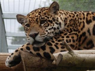 General view
General view
di BEST WESTERN Kryb I Ly