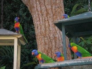 General view
General view
di BEST WESTERN Taree Motor Inn