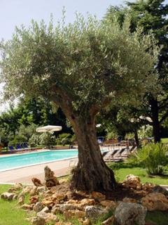 General view
General view
di BEST WESTERN Soave Hotel