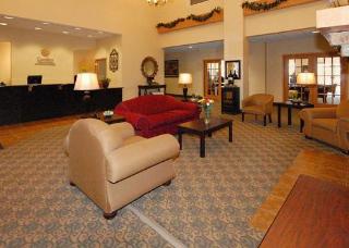 General view
 di Comfort Inn & Suites