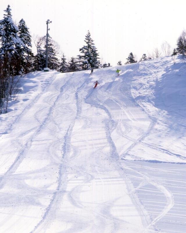 General view
General view
di Hotel Park Hills