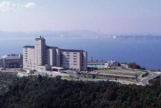 General view
 di Hotel New Awaji Plaza Awajishima
