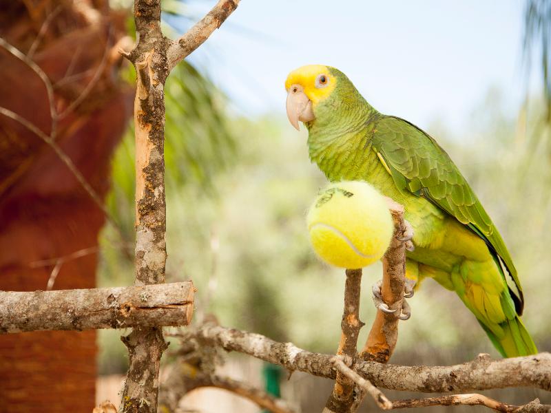 This photo about Playa Ferrera shared on HyHotel.com
