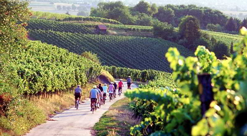 This photo about Ringhotel Heilbronn shared on HyHotel.com