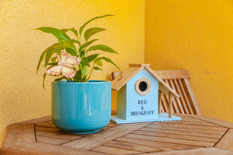 cheap resort hotels  to Spend holiday with family