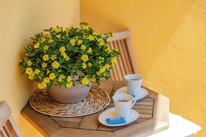 cheap resort hotels  to Spend holiday with family