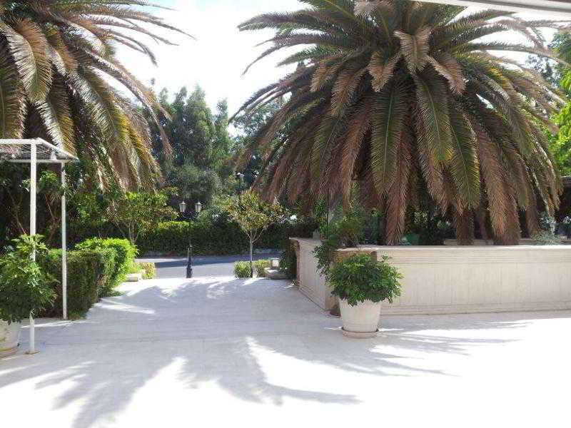 This photo about Oscar shared on HyHotel.com