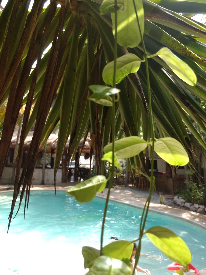 This photo about Green Tulum Cabanas & Gardens shared on HyHotel.com