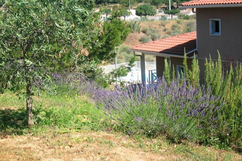 This photo about Debussy by Actisource shared on HyHotel.com