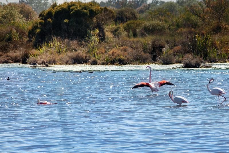 This photo about Hotel Club residence les Amandiers shared on HyHotel.com