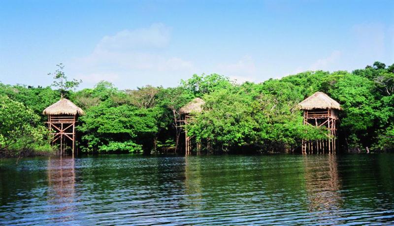 This photo about Juma Amazon Lodge shared on HyHotel.com