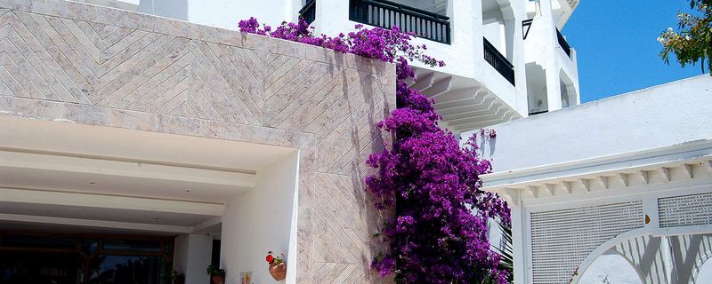 This photo about Bravo Monastir shared on HyHotel.com