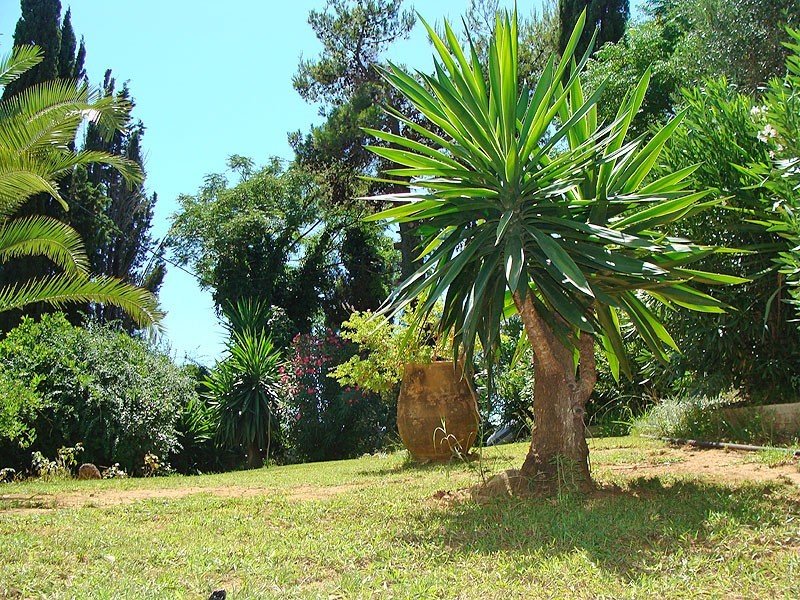 This photo about Alexandros&Gerekos shared on HyHotel.com