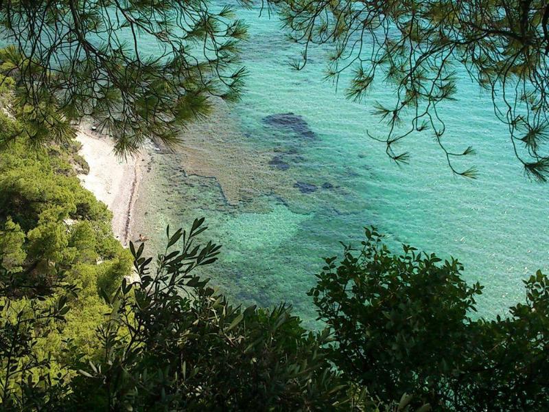 This photo about Dryades shared on HyHotel.com