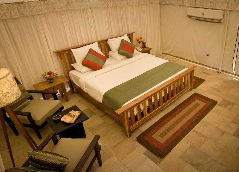 This photo about Golden Tusk shared on HyHotel.com