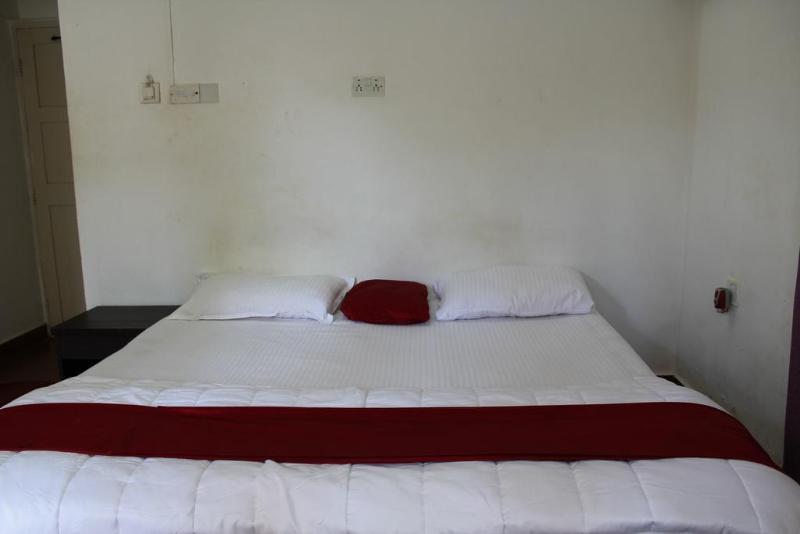 This photo about Macedo Palms Lemonmint shared on HyHotel.com