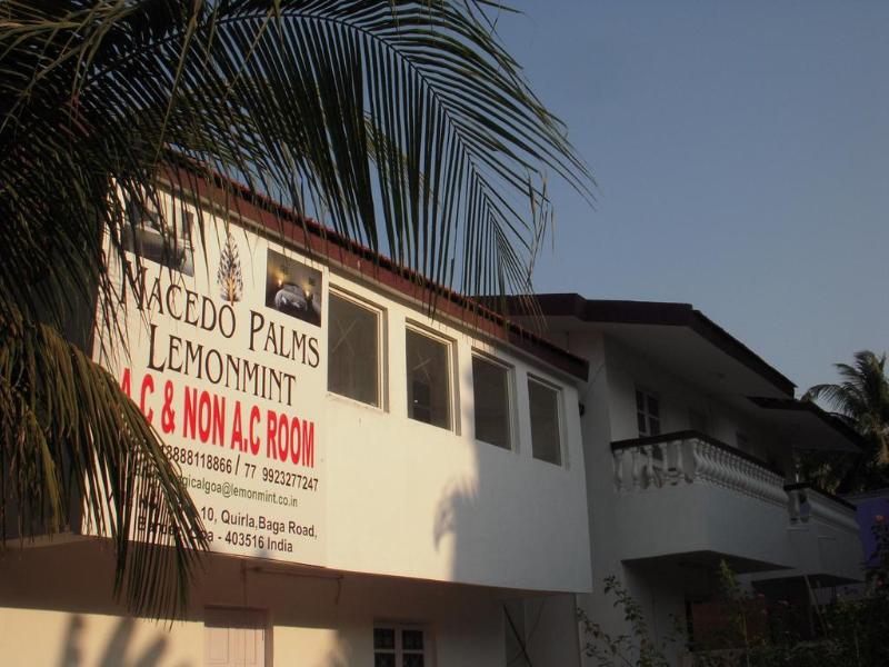 This photo about Macedo Palms Lemonmint shared on HyHotel.com