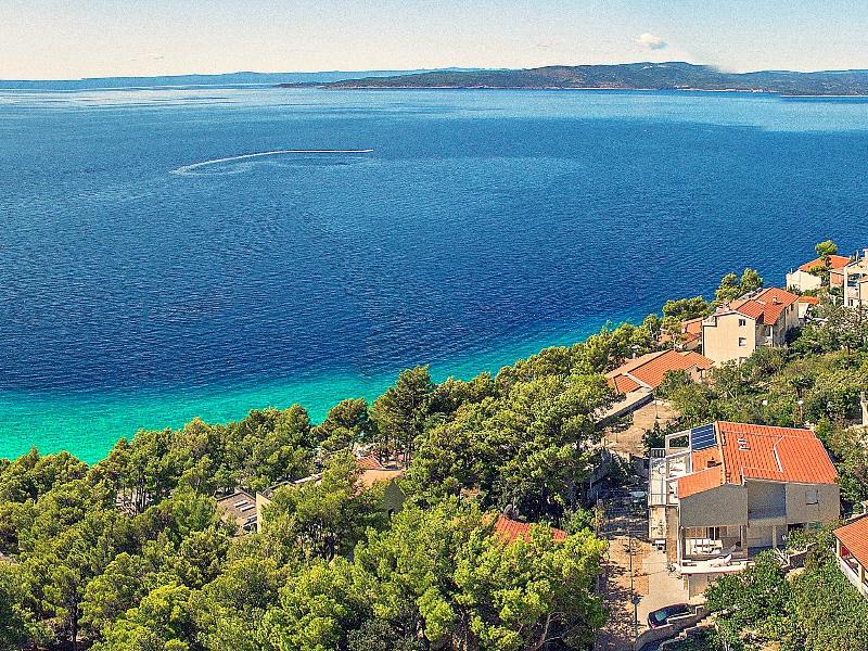 This photo about Boris shared on HyHotel.com