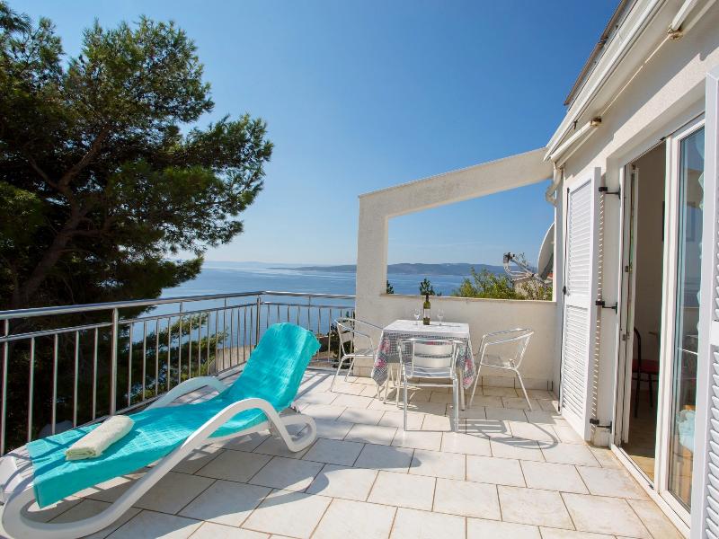 This photo about Boris shared on HyHotel.com