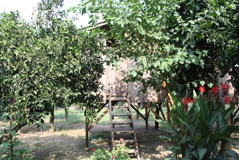 This photo about Saban Treehouses shared on HyHotel.com