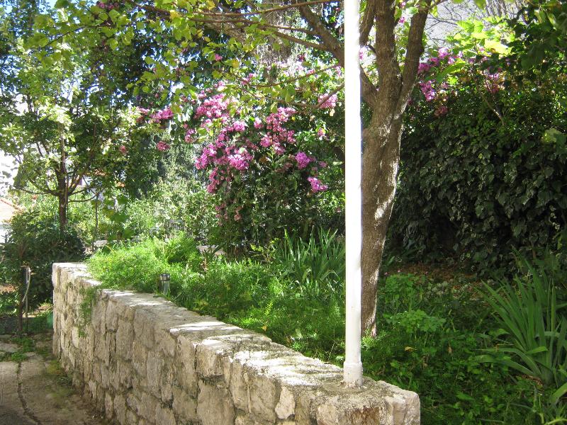 This photo about Afrodita Apartments shared on HyHotel.com