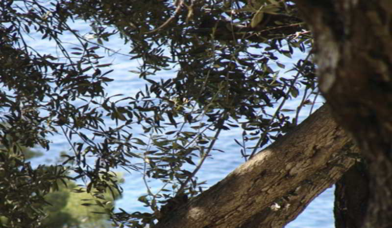 This photo about Bonbon Luxury Studio shared on HyHotel.com