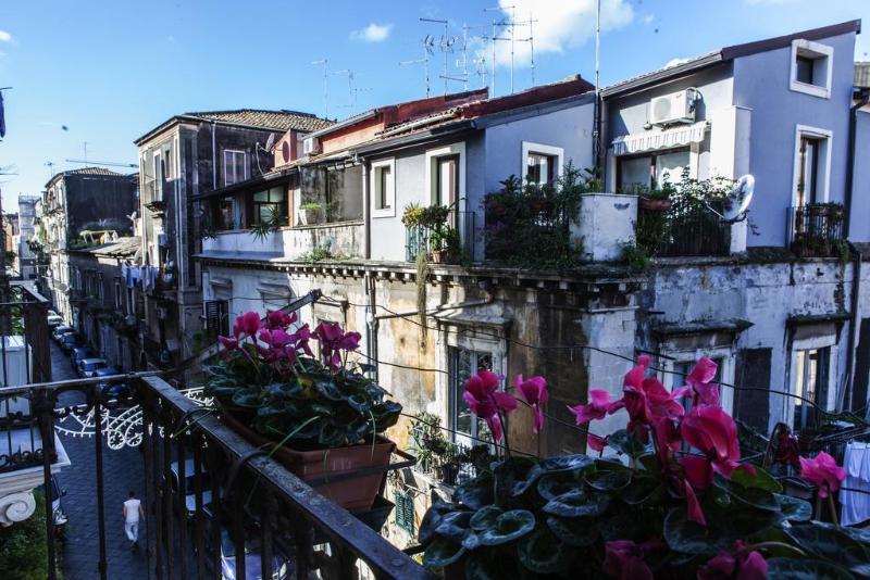 This photo about Bellini shared on HyHotel.com