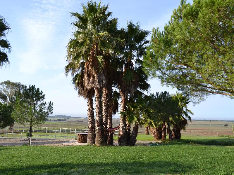 This photo about Monte Do Sobral shared on HyHotel.com