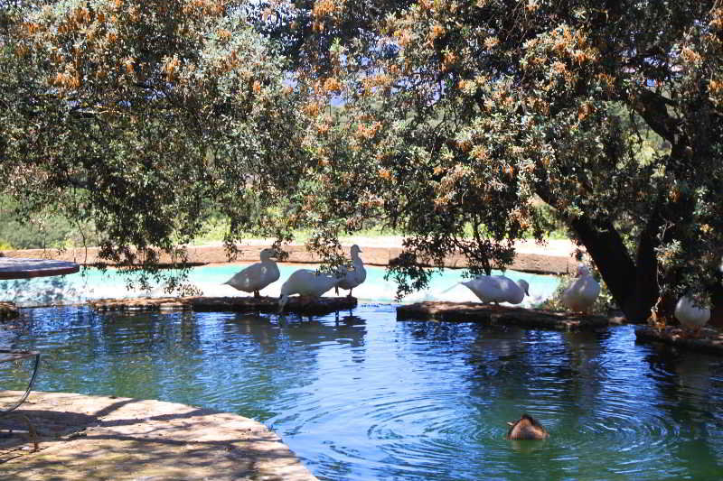 This photo about Finca Los Pastores shared on HyHotel.com