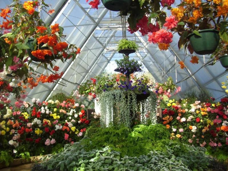 This photo about Tranquility shared on HyHotel.com