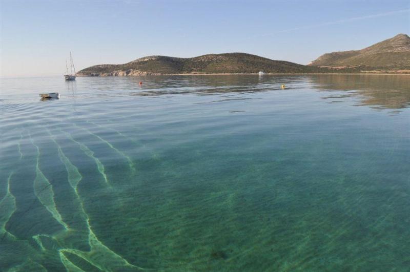 This photo about Dolphin St. Georgio shared on HyHotel.com