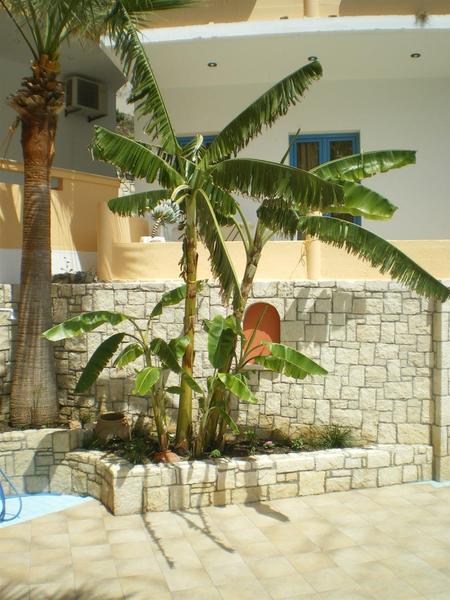 This photo about Sunset shared on HyHotel.com