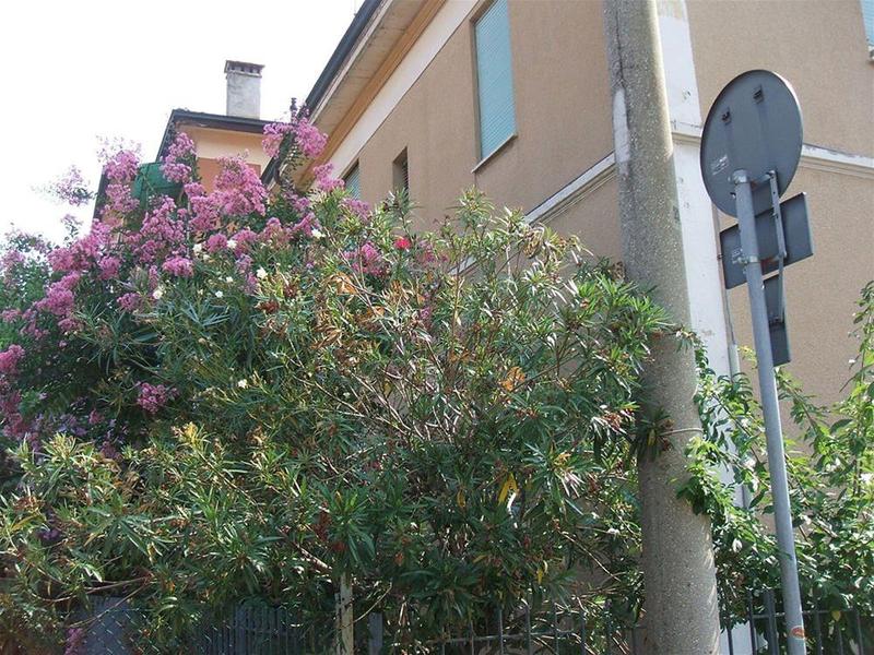 This photo about B&B Accorsi shared on HyHotel.com