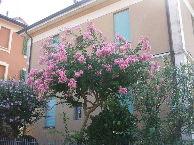 This photo about B&B Accorsi shared on HyHotel.com