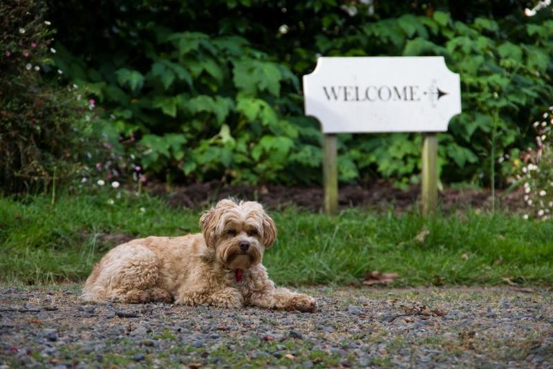 This photo about Ugbrooke Country Estate shared on HyHotel.com