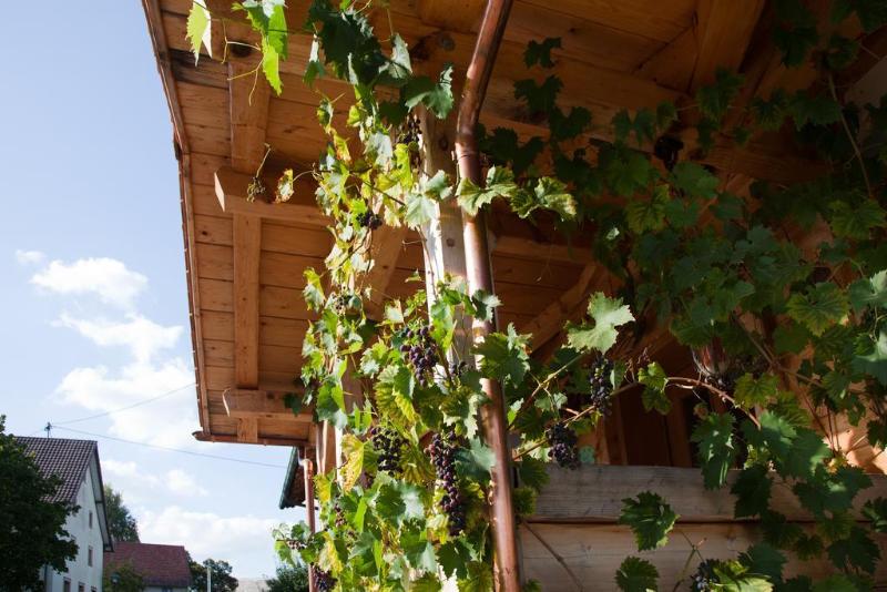 This photo about Pension Baarblick shared on HyHotel.com