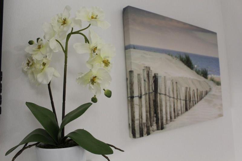 This photo about Violeta Hvar shared on HyHotel.com